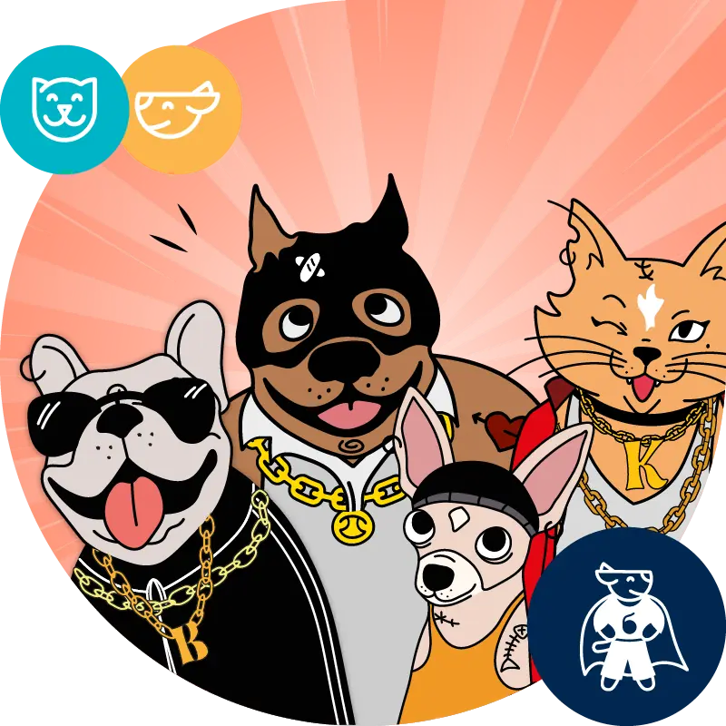 Mr.Bandit — фото бренду