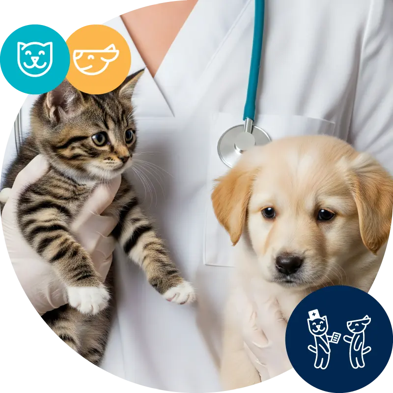 Vet Expert — фото бренду